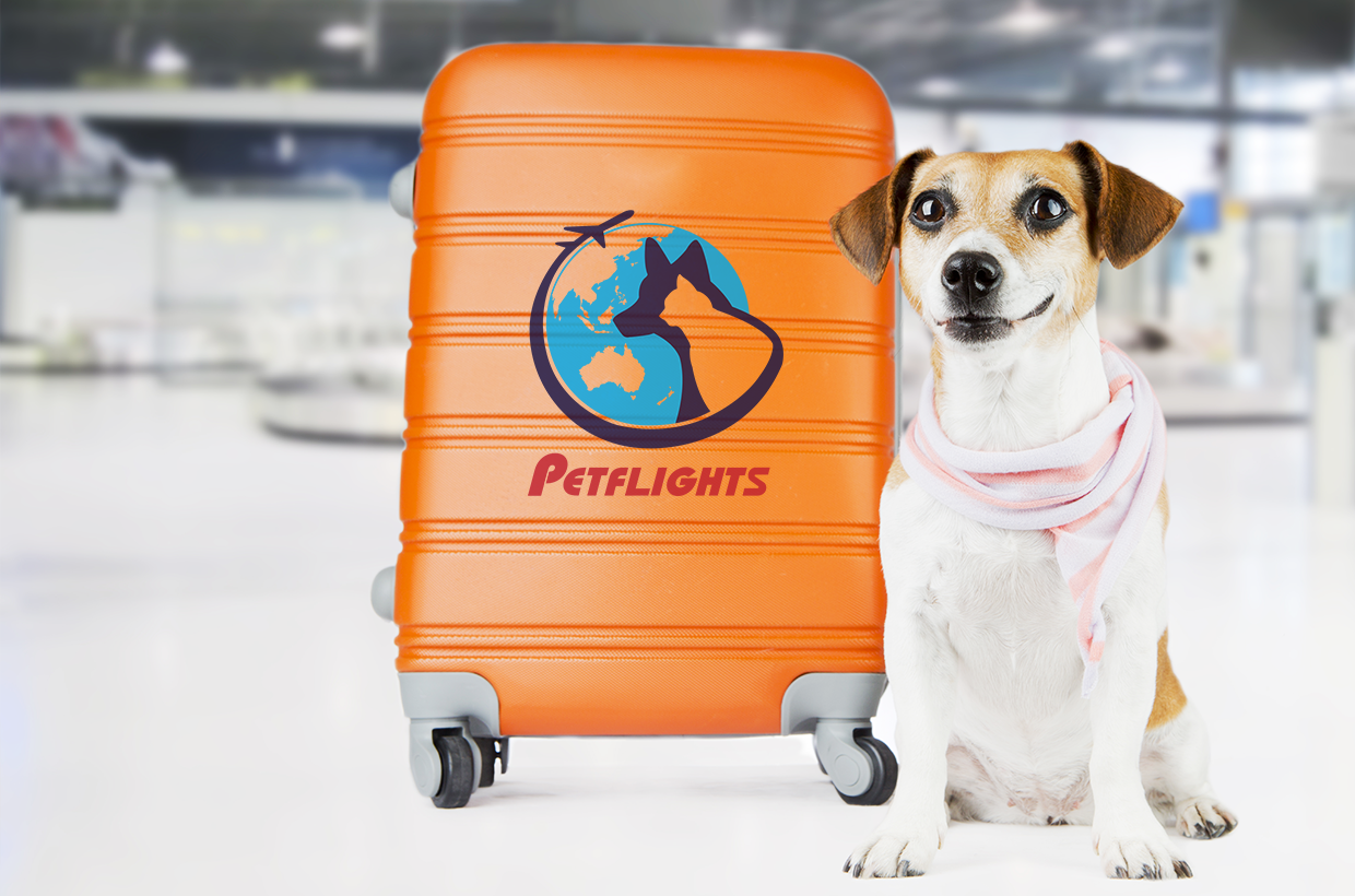 pet travel in australia